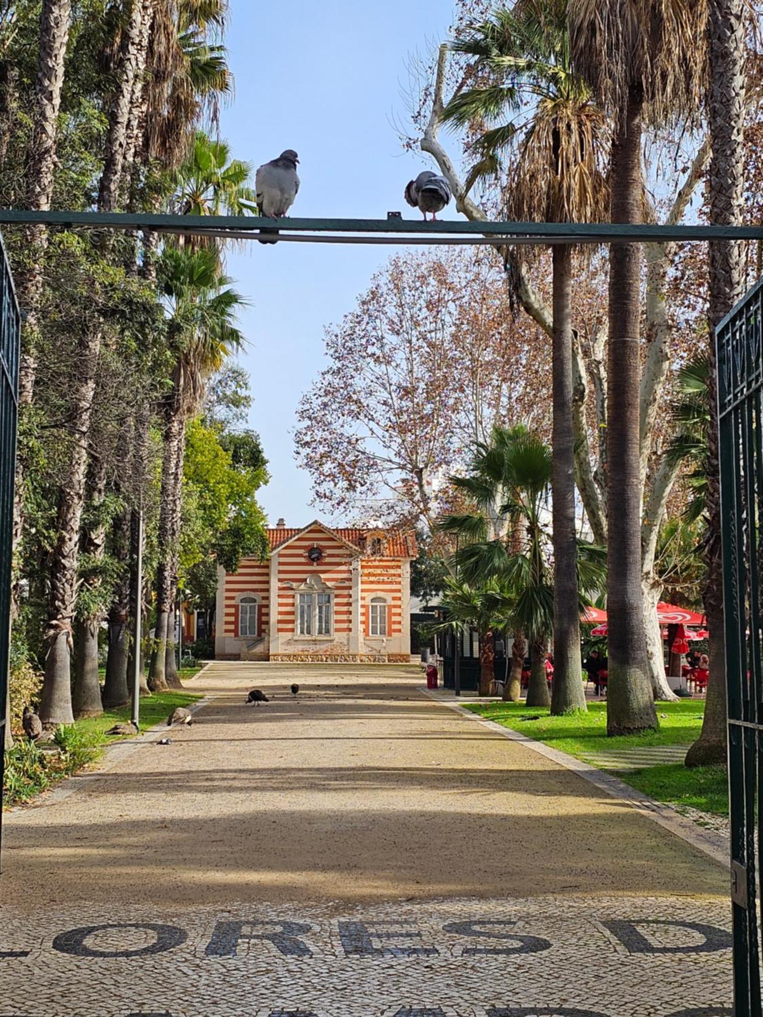 Casa Jasmim Daire Faro Dış mekan fotoğraf